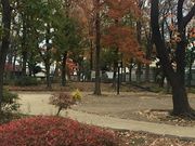 Kuda12����̏�������̓��e�ʐ^1