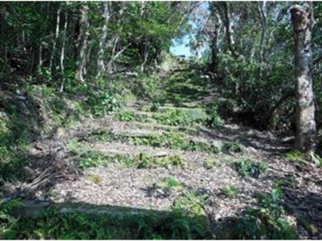 �Ðh�F����̍��䌠���̓��e�ʐ^4