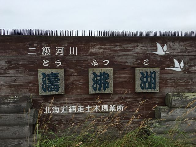 �D���������ł�_������