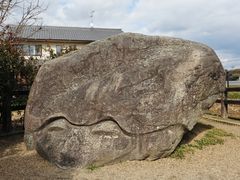 謎めいた石 - 亀石のクチコミ - じゃらんnet