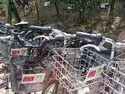 ܂܂̎[k[^TCN̓eʐ^1