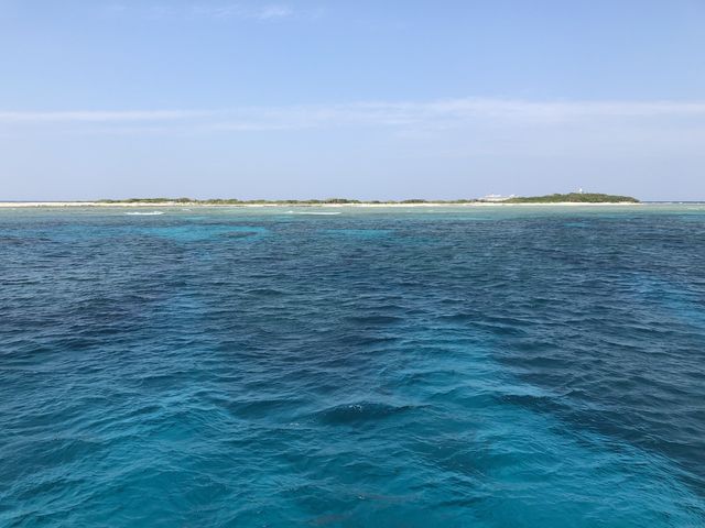 �_�R��_�p�C���[�c�}�����N���u