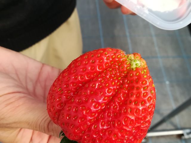 ���̂��炢�̂����ς��B�Â��B�i��Ƃ����Ƃ߁B_���E�t���[�Y