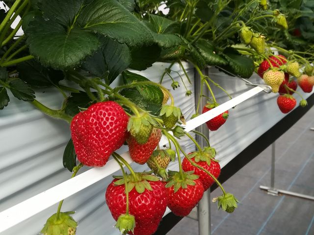 ����Ȋ���_���E�t���[�Y