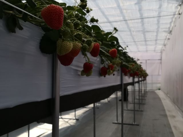 �[�̒ʘH_���E�t���[�Y