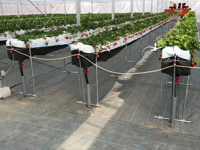 ���Ƃ���_���E�t���[�Y