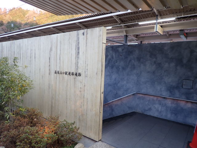 �����d�S���������R���w