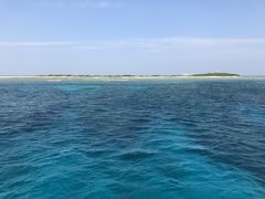 kingfisher̃pC[c}Nuւ̓eʐ^1