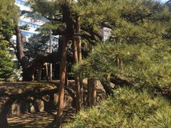 Kuda12����̎O�S�N�̏��i�l���{�����뉀�j�ւ̓��e�ʐ^1