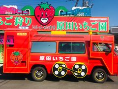 Ƃ݂̏aMn@cւ̓eʐ^1