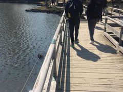 Kuda12����̂��`�����i�l���{�����뉀�j�ւ̓��e�ʐ^1