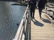 Kuda12̂`il{뉀j̓eʐ^1