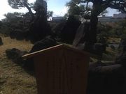 Kuda12̒(ŗ{뉀)̓eʐ^1