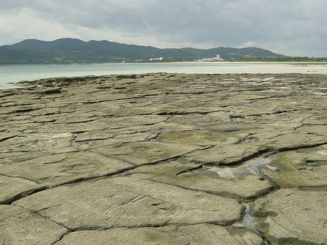 ���R�ƕ��񂾌܁`�Z�p�`�B
�s�v�c�Ȍi�ςŁA�ꌩ�̉��l������Ǝv���܂��B_�������̏���