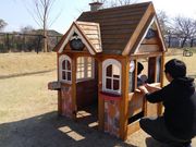 ̂肳̕삾 HOX̓eʐ^2