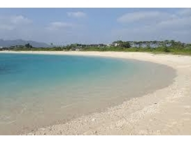 ���₩_21���I�̐X�r�[�`