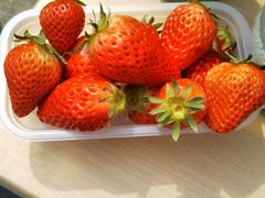 ҂񂳂̂t@[ւ̓eʐ^1