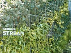 ǂ܂邳̏aJXg[ւ̓eʐ^1