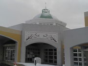 bXB[̃jZRz쉷򋽂̓eʐ^1