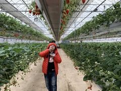 sugita̒x[t@[ւ̓eʐ^1