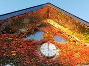 amucha̔ӂ邳ƃZ^[̓eʐ^2