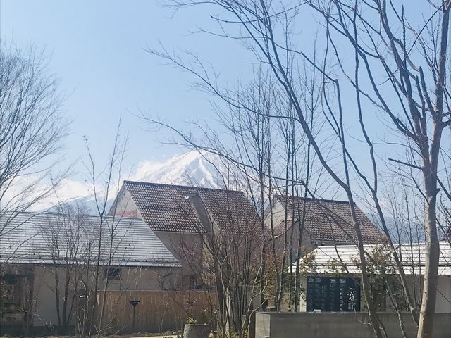 �x�m�R���o�b�N��_�x�m��΃n�i�e���X