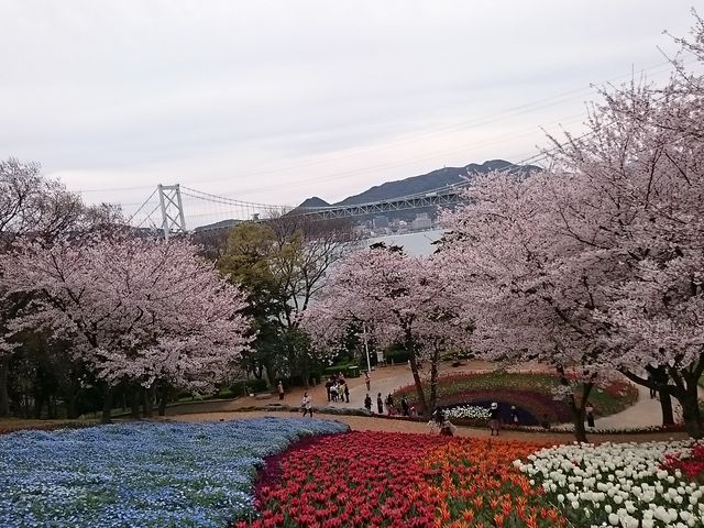 ��i���L����܂�_�΂̎R���[�v�E�F�C