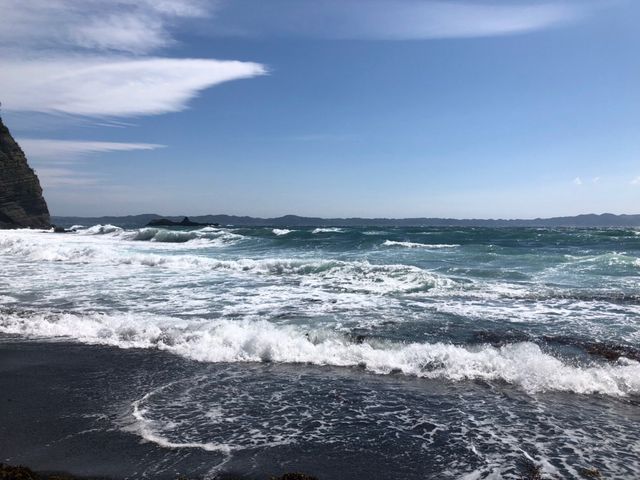 �C�͊J���Ă��Č�����������܂��B_��[�����R����