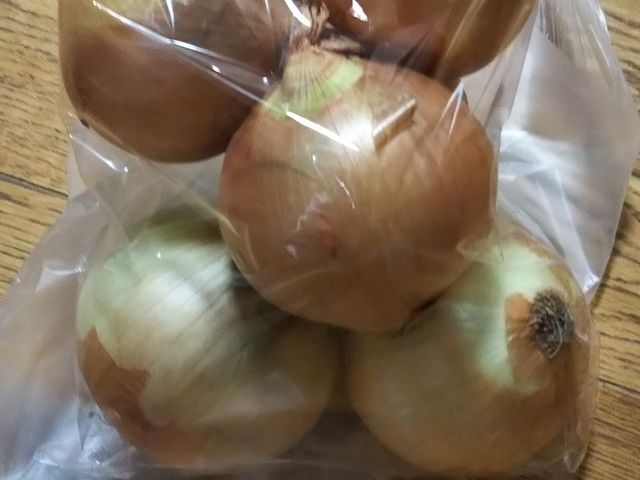 �n�����܂˂�_���̉w �O�}�i�T���t�@�[���O�}�j