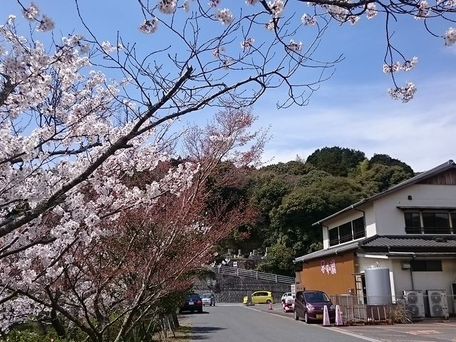 �����L���C�ł���_�g�c����