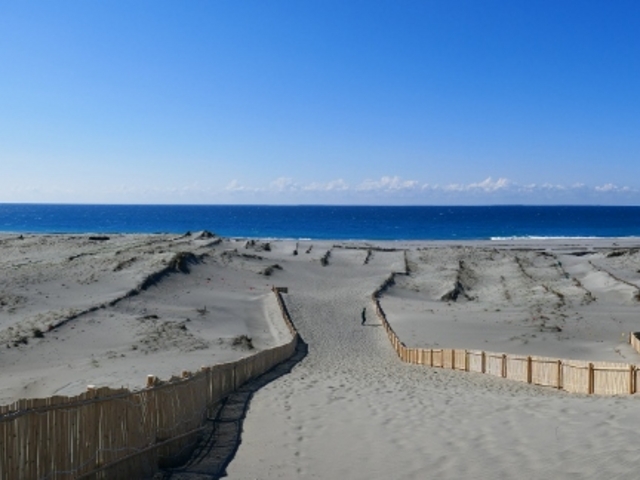 ���c�����u_���c�����u