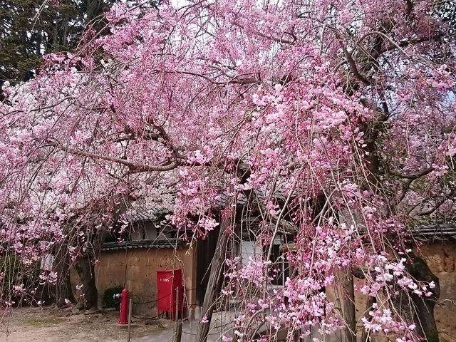 �������_���R���^������