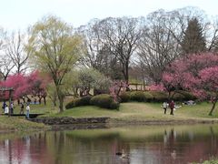 古河公方公園 古河総合公園 の口コミ一覧 じゃらんnet