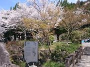 �X�k�v����̍����W���̓��e�ʐ^1