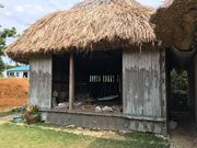 �A�W�̃^�^�L����̗^�_�������̓��e�ʐ^1