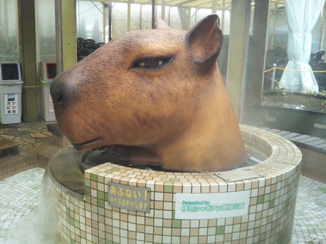 �w����J�s�o�����������Ɂx�B_�ɓ��������̉w�����ς�ہ[��