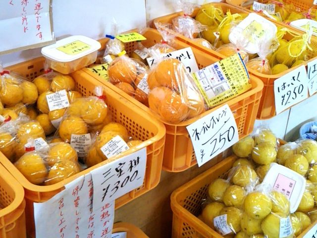 w͒ÒY̊kށxB_͒Íό𗬊