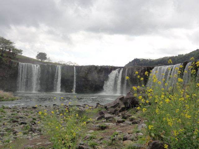 �������猩����_���̉w ���K�̑�