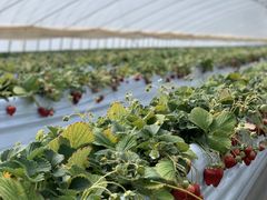 AL̃x[Yt@[ւ̓eʐ^1