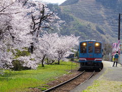 kiyohiko85jpさんの樽見鉄道の投稿写真1