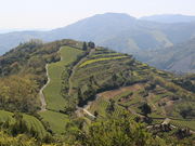 ����������̒��C���ӂ̓��e�ʐ^3