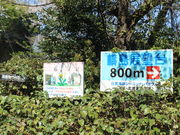 ����������̒��C���ӂ̓��e�ʐ^4