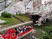 ׂ񂳂̈镔Eׂ̍̓eʐ^1