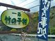 usaさんの竹の子狩り（静岡県南伊豆町）の投稿写真1