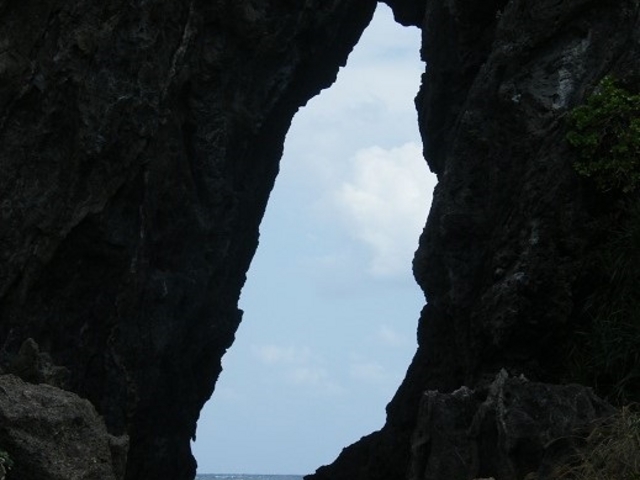 ���Ɍ����܂���_�~�[�t�K�[