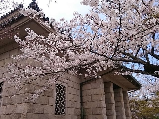 ���J�ŃL���C�ł���_���R���^������