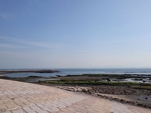 񂿂񂳂̏ĖC݂̓eʐ^1