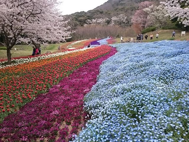 [vEFCō~ƉԂLC_p[NEFC`΂̎RW]