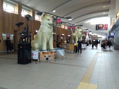 jC`̏Hcsόēւ̓eʐ^1