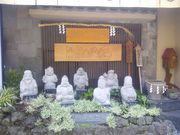 񂳂̈ɓ򎵕_̓eʐ^1